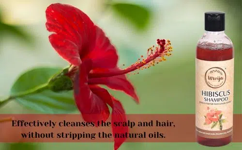 Effectively cleanses the scalp and hair