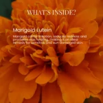 Marigold Cleanser - Image 4