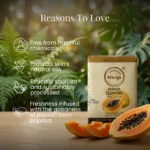 Papaya Cleanser - Image 6