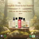 The Complete Head to toe Routine - Image 2