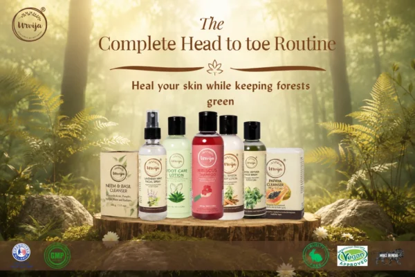 The Complete Head to toe Routine