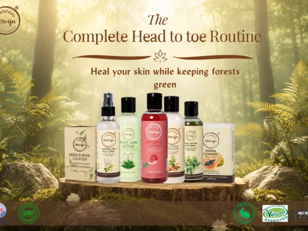 The Complete Head to toe Routine